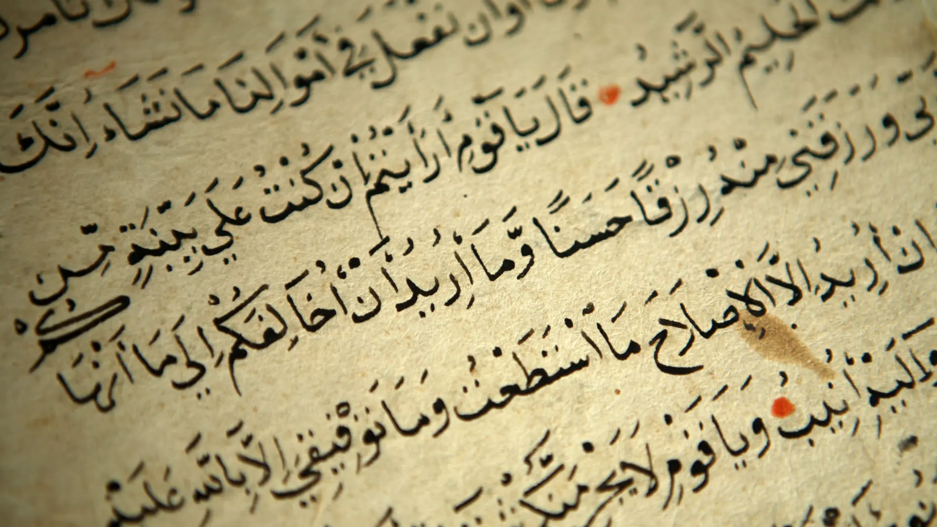 Quran Teachers